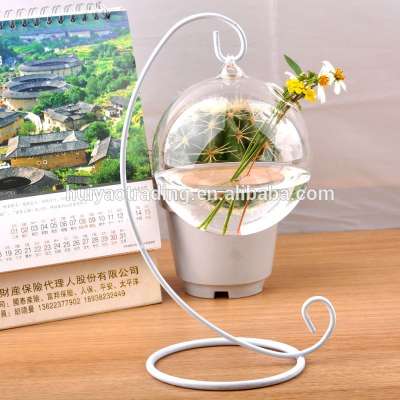 Hanging glass ball terrariums / glass globe star vase for wedding