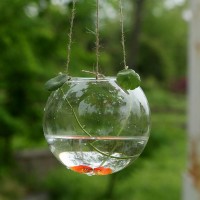 wholesale home decoration fish vase hanging glass