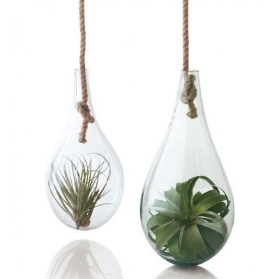 hot sale globe terrarium glass hanging